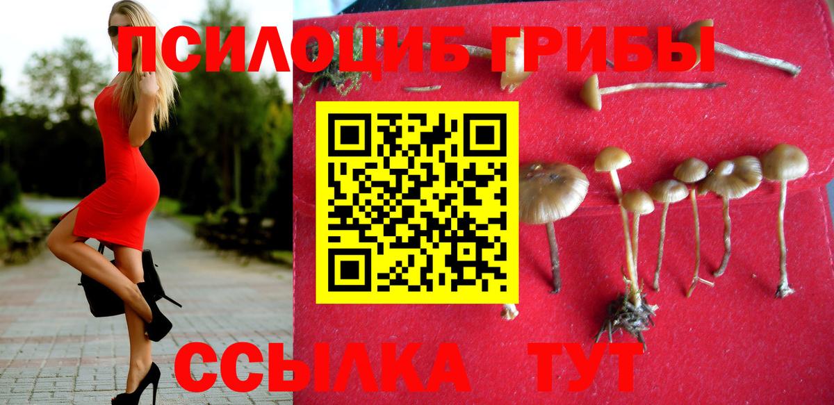 Галлюциногенные грибы MAGIC MUSHROOMS Зеленодольск