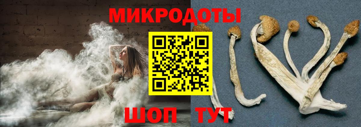 Галлюциногенные грибы MAGIC MUSHROOMS  магазин продажи наркотиков  Зеленодольск  Галлюциногенные грибы Psilocybine cubensis  Вход с VPN 